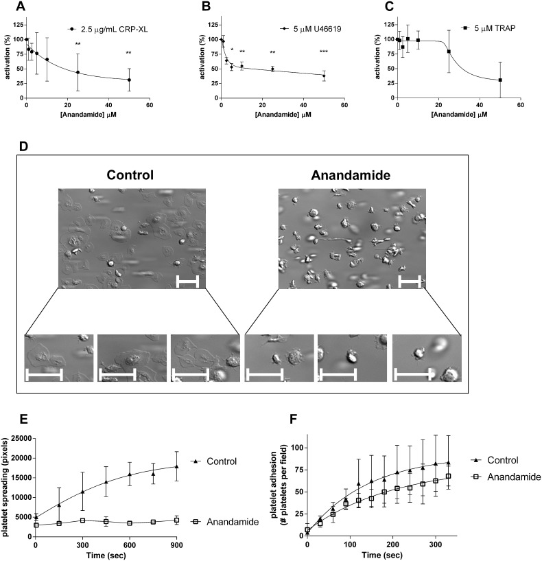 Anandamide reduces glycoprotein IIb/IIIa activation and inhibits platelet spreading.Washed platelets from healthy human donors were exposed to a concentration series (0–50 µM) of anandamide for 40 minutes at 37°C and subsequently stimulated with 2.5 µg/mL CRP-XL (A), 2.5 µM U46619 (B) or 5 µM TRAP (C). Platelet GPIIb/IIIa activation was studied by flow cytometry. Data were normalized to the agonist-induced GPIIb/IIIa activation of vehicle-pretreated control platelets. Washed platelets were preincubated with 50 µM anandamide or vehicle for 40 minutes at 37°C and perfused over immobilized fibrinogen- at a shear rate of 25 s−1. Subsequently, differential interference contrast microscopy images were taken (D; representative images after 15 minutes of perfusion, scale bars represent 10 µm). Quantification of the spreading behaviour of individual platelets on immobilized fibrinogen (E; spreading was quantified for 3 individual platelets per separate experiment). Quantification of the amount of adhering platelets per field (F). Data represent mean and standard deviation (SD) of 3 or more individual experiments.