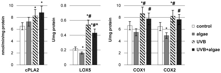 The impact of Nannochloropsis oceanica microalgae extract on the activity of cytosolic phospholipase A2 (cPLA2), lipoxygenase-5 (LOX-5), and cyclooxygenase-1/2 (COX-1/2) in various keratinocyte groups: control (n = 5); cultured with algae extract for 24 h (n = 5); irradiated with UVB (60 mJ/cm2) (n = 5); and irradiated with UVB (60 mJ/cm2) and subsequently cultured with algae extract for 24 h (n = 5). Mean values ± standard deviation (SD) and statistically significant differences for p < 0.05 are represented as follows: *—vs. control group; #—vs. algae group; and ^—vs. UVB group.