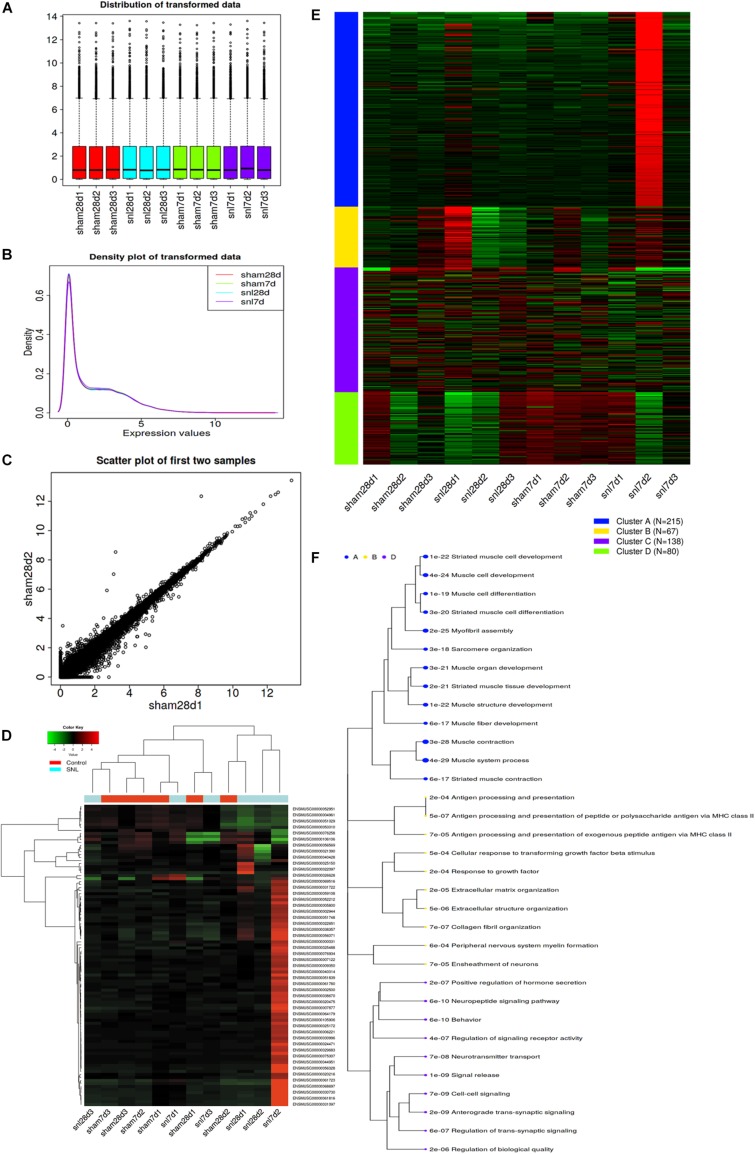 Exploratory data analysis for read-counts data. (A) Distribution of transformed data by using a density plot; (B) Boxplot of transformed data; (C) Scatter plot of the first two samples; (D) Hierarchical clustering of top 1000 genes, and the color scale represents the relative expression of genes in certain slide: green indicates low relative expression levels; red indicates high relative expression levels; black indicates zero (no change); (E) k-means clustering; (F) Enrichment analysis for Go terms. Sizes of dot correspond to adjusted P-values.