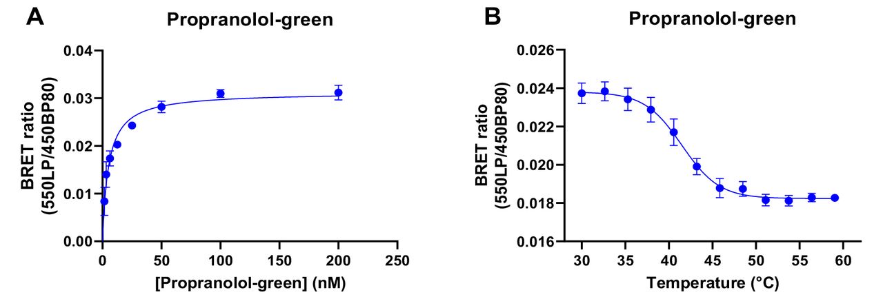 BRET based fluorescent tracer binding to the β2AR solubilised in DDM.(A) Saturation binding curve of propranolol-green binding the β2AR. ThermoBRET thermostability curve for tsNluc-β2AR in the presence of (1 μM) propranolol-green. Data is plotted as the mean ± standard error for 3 replicates.