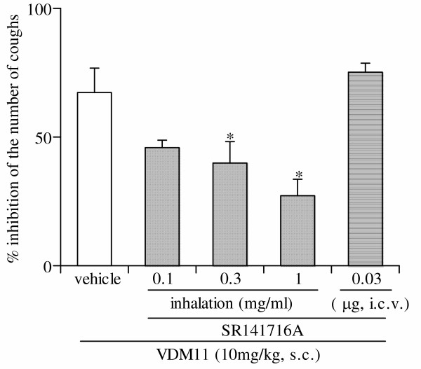 Effects of inhaled or intracerebroventricularly administered SR141716A on the antitussive effect of VDM11. SR141716A aerosol was inhaled for 4 min at 60 min after the administration of VDM11 (just prior to the second application of capsaicin). SR141716A was injected intracerebroventricularly, 50 min after VDM11 administration (10 min before the second application of capsaicin). The antitussive effect of VDM11 (10 mg/kg) was assessed 60 min after subcutaneous administration. Each column represents the mean with S.E. of 10 mice in each group. *P < 0.05 vs. vehicle-treated group.