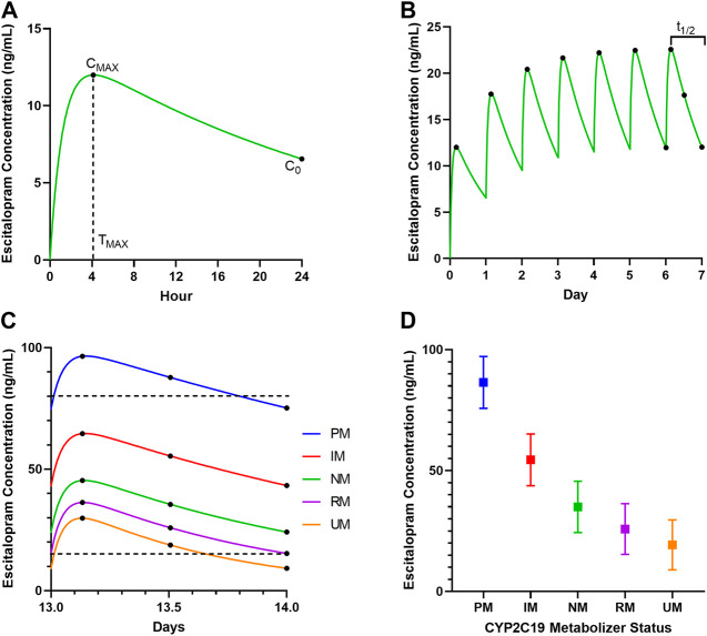 The pharmacokinetics of escitalopram in a 14-year-old adolescent female. (A) Predicted concentration-time curve after a single 10 mg dose in a CYP2C19 normal metabolizer. The maximum concentration (C MAX ), trough concentration (C 0 ), and time to maximum concentration (T MAX ) are shown. (B) Concentration-time curve showing seven doses of 10 mg every 24 h in a CYP2C19 normal metabolizer. Dots indicate the C MAX after each dose, the C 0 prior to the seventh dose and the concentrations at 12 and 24 h after the seventh dose. The half-life (t1/2) is shown by the bracket above the curve for the seventh dose. (C) Escitalopram concentrations after the 14th dose of 20 mg/day are shown for a CYP2C19 poor metabolizer (blue, [PM]), intermediate metabolizer (red, [IM]), normal metabolizer (green, [NM]), rapid metabolizer (purple, [RM]) and ultrarapid metabolizer (orange, [UM]). Dots indicate the maximum concentration after the dose and the concentrations at 12 and 24 h after the 14th dose. Dotted lines indicate therapeutic window (Hiemke et al., 2018). (D) For each metabolizer phenotype, the squares indicate the concentration at 12 h after the 14th dose of 20 mg/day, with the whiskers indicating the maximum concentration (C MAX ) and the trough concentration (C 0 ).