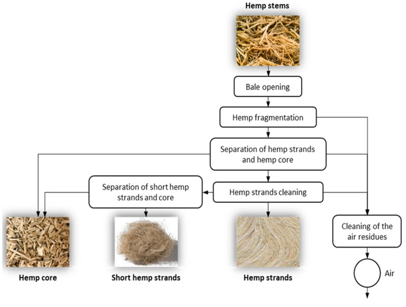 Industrial processing of hemp stems.