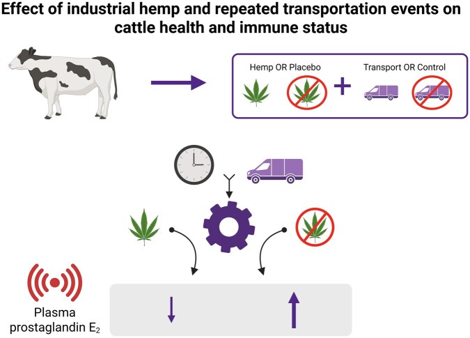 Graphical Abstract