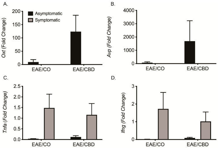 Gene expression confirmation using qRT-PCR. Female EAE mice were treated with CO or CBD for 5 days after disease initiation. Brains were harvested on Day 18. Samples used for RNA-Seq analysis were also used to confirm gene expression by qRT-PCR. (A) Oxt; (B) Avp; (C) Tnfa; and (D) Ifng. Bars are the mean ± SEM. Asymptomatic EAE values were used as the fold-change analysis comparators. None were statistically significant. CO, corn oil (vehicle).