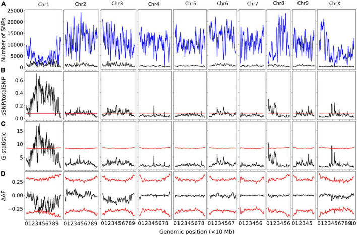 Bulk segregant analysis for pools of early- and late-flowering plants from ‘Umpqua.’ Physical genomic window size is 2 Mb and step size is 10 kb. (A) Chromosomal distribution of SNPs. Total SNP number is in blue and significant SNP number (Fisher Exact Test P < 0.01) is in black. (B) Ratio of significant SNPs:Total SNPs across chromosomes. (C) G-statistic values across chromosomes. (D) Delta-allele frequency (ΔAF) values across chromosomes. Red lines represents significance thresholds determined by simulation of 10000 SNPs given allele depths at the 99.5th percentile for significant SNPs:Total SNPs and G-statistic, and the 99% confidence interval for ΔAF values.