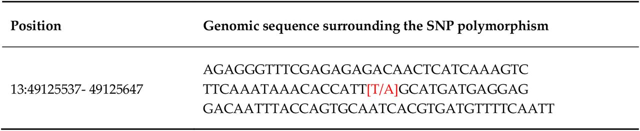Genomic sequence surrounding the point loss-of-function mutation (T >A, in red) for disc1.