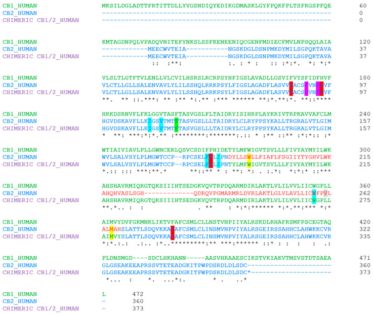Amino acid sequence alignment of CB1 (in green) and CB2 (in blue) receptors and the chimeric CB1/2 (in blue + green) generated by a standard protein Multiple Sequence Alignment (Clustal Omega). The * indicates identical residues. The TMHV-ICL3-TMHVI domain in the CB2 receptor is in red and the TMHV-ICL3-TMHVI domain in the chimeric CB1/2 is in green. F91 and F94 in both the CB2 and the chimera are highlighted in fuchsia; F87, H95, and P184 in both the CB2 and the chimera, as well as F281 in the CB2 and its corresponding F294 in the chimera are highlighted in red; F117 in both the CB2 and the chimera, as well as W258 in the CB2 and its corresponding W271 in the chimera are highlighted in green; I110, V113, and F183 in both the CB2 and the chimera, and M265 in the CB2 and its corresponding M278 in the chimera are highlighted in yellow; I186 and W194 in both the CB2 and the chimera are highlighted in blue; V261 in the CB2 is highlighted in gray.