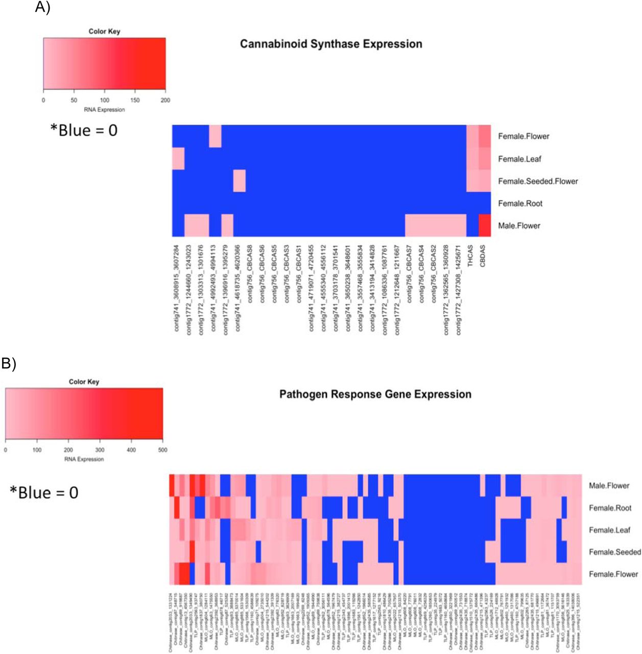 (A)Iso-Seq expression of 26 cannabinoid synthase genes that exist on contig741, contig1772 and contig756. Blue is zero expression, pink to red are increasing transcript levels. (B) Iso-Seq expression levels of 82 pathogen response genes. Zero expression detected is shown in blue. Single transcripts detected are shown in pink and the highest expression levels (1000s) are shown in red. Many of the pathogen response genes with significant segregating power in the PCA analysis are also the most heavily expressed genes (chitinase_c2033, chitinase_c13, chitinase_c69, chitinase_c87, and TLP_2563 or ‘CsTLP1’)