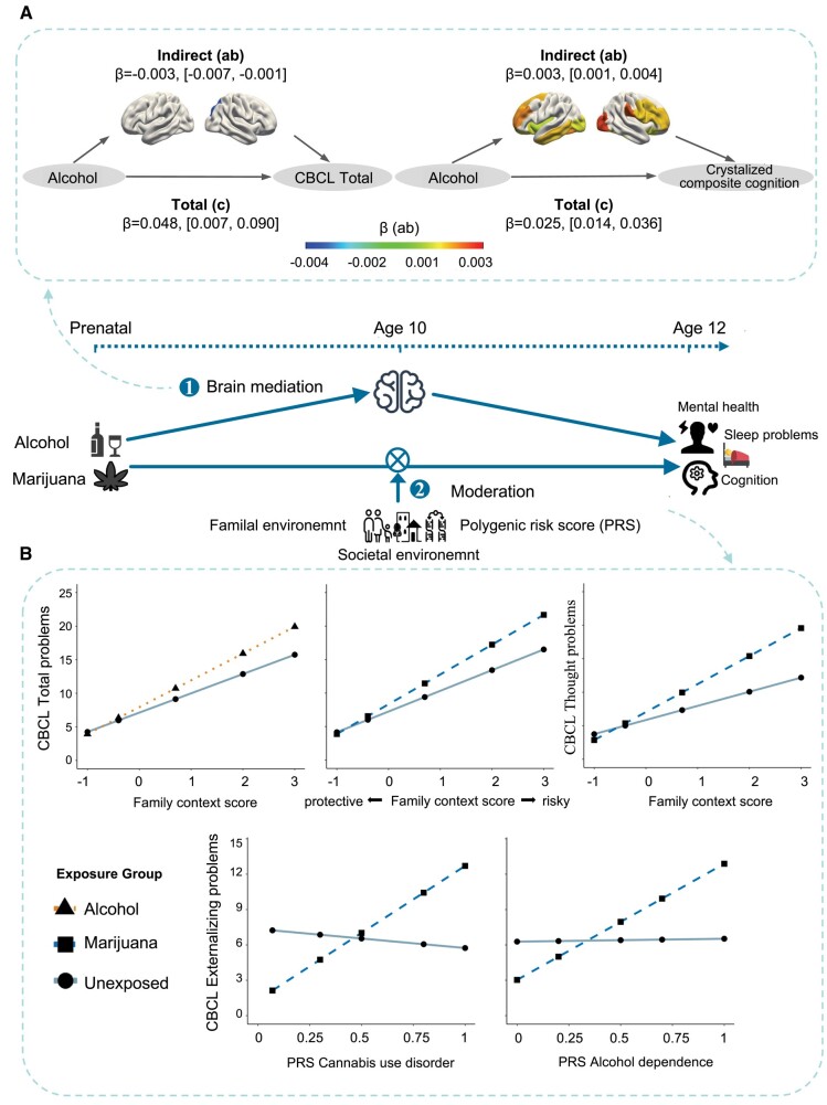 Pathways of effects for the persist/late-onset health associations of prenatal substance exposures. A) Left: regional cortical surface areas at the baseline showing significant mediation effects on the associations of PSE-alcohol with CBCL total problems at the follow-up; right: regional cortical surface areas at the baseline showing significant mediation effects on the associations of PSE-alcohol with crystalized composite cognition at the follow-up. Brain regions were shown according to their indirect effects measured by β-values. B) Lower family risk context scores attenuated the associations of PSE-alcohol/marijuana with total/thought problems; higher PRS for cannabis use disorders/alcohol dependence strengthened the associations of PSE-marijuana with externalizing problems.