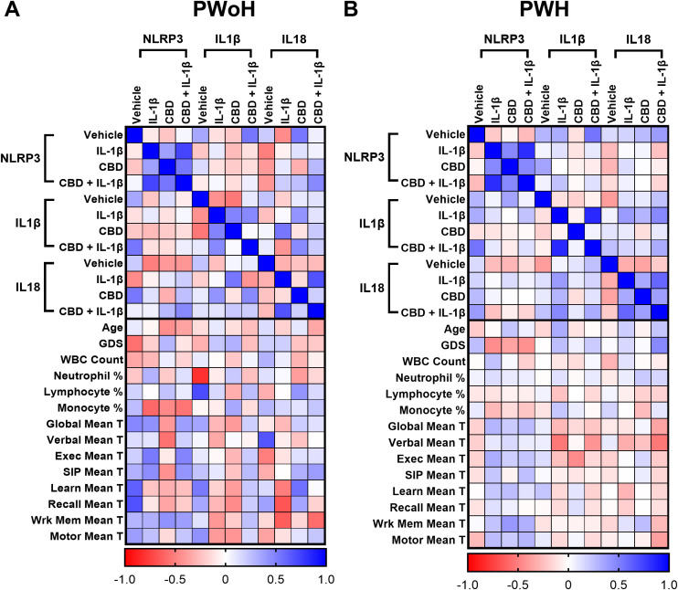 Two heatmaps labeled A (PWoH) and B (PWH) display correlations. Rows represent NLRP3, IL1β, IL18, and various cognitive and biological measures, while columns show different treatments: Vehicle, IL-1ß, CBD, and CBD + IL1β for each category. Color intensity ranges from red (negative correlation) to blue (positive correlation).