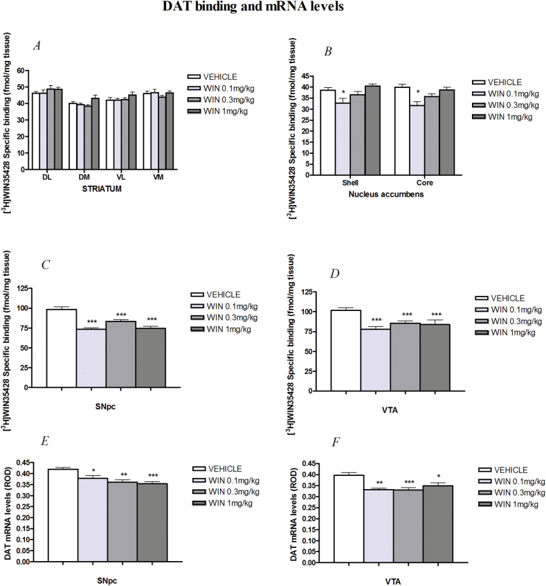 Dopamine transporter (DAT) binding site levels labeled with [3H]-WIN35428 in (A) striatum, (B) nucleus accumbens (NAc), (C) substantia nigra pars compacta (SNpc), and (D) ventral tegmental area (VTA) of chronically WIN55,212-2- and vehicle-treated rats and DAT mRNA levels in (E) SNpc and (F) VTA. The asterisks (*) signify a statistically significant effect compared to the vehicle group: *P<.05, **P<.01, and ***P<.001, n=9-10.