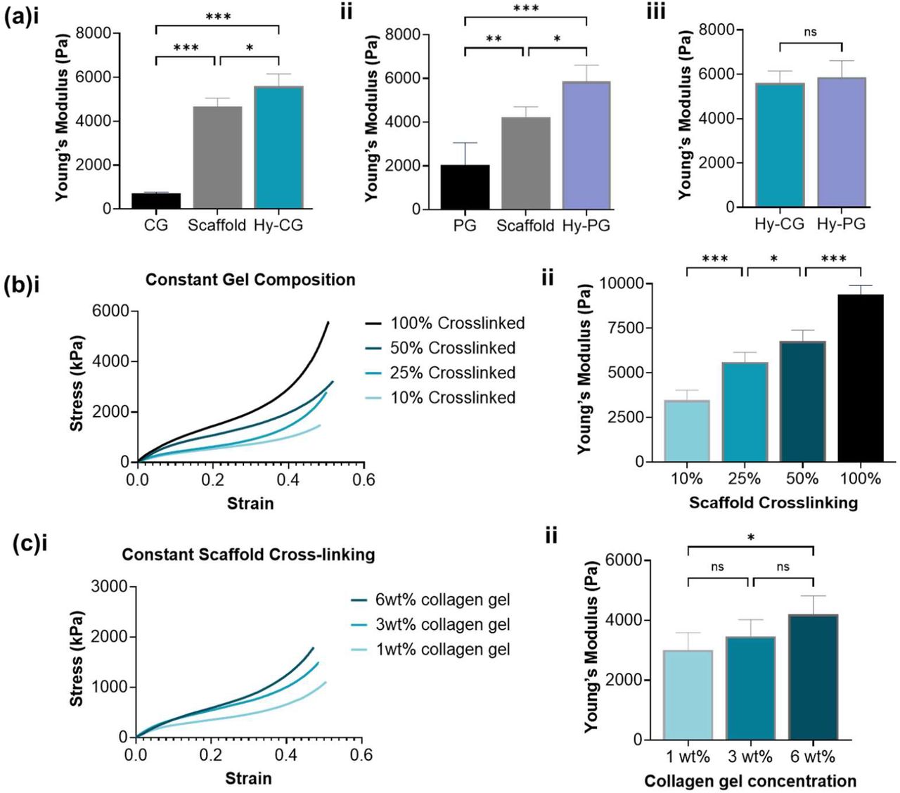 Bulk mechanical properties can be controlled independently of composition.(a) Hybrid scaffolds containing (i) collagen gel (Hy-CG) or (ii) peptide gel (Hy-PG) have significantly higher Young’s modulus than either the gel or scaffold alone, with (iii) no significant difference in Young’s modulus between the two hybrid scaffold compositions; (b)(i) the scaffold component of the hybrid scaffold (Hy-CG) may be crosslinked to different degrees (100% crosslinking refers to the standard 5:2:1 carbodiimide molar ratio) at constant gel composition, producing (ii) significant increases in Young’s modulus; (c)(i) the concentration of the collagen gel component may be controlled, which may produce (ii) modest but significant changes in Young’s modulus, depending on the magnitude of the change in concentration. Error bars represent standard deviation of at least n=4 independent measurements per condition. * p<0.05, **p<0.01, ***p<0.001.