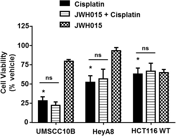 Pre-treatment with JWH015 does not interfere with cisplatin anti-cancer efficacy in vitro. Different cancer cells (UMSCC10B, HeyA8, and HCT116 WT) were treated with JWH015 (10 μM) for 30 min followed by cisplatin (10 μM) for 48 h. The cell viability was measured by MTS assay. The percent cell viability is represented in the bar graph as mean ± SEM of at least four independent experiments. ∗p < 0.05 represent significant difference from vehicle-treated group at 100% (one-way ANOVA).