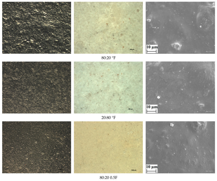 SEM and stereoscopic images for antioxidant pectin films. Scale bar: 10 μm.