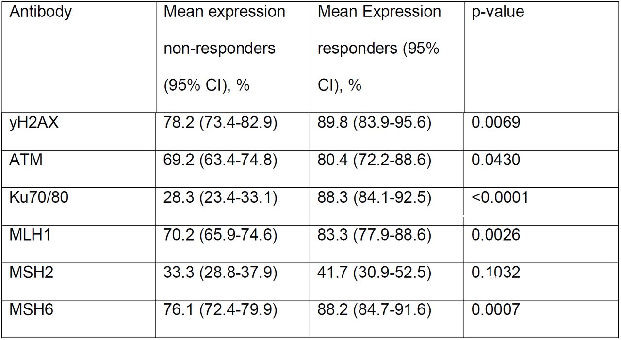 Expression of DNA repair proteins between responders and non-responders