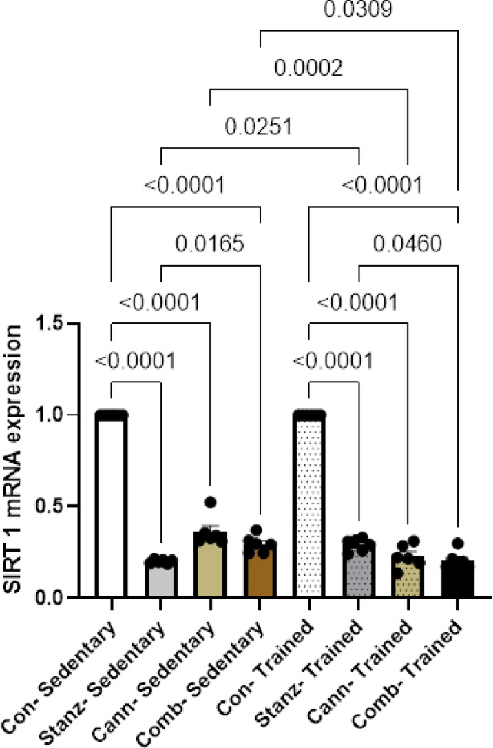 SIRT1 expression levels in testis tissue across different experimental groups: Control (Con), Stanozolol (Stanz), Cannabis (Cann), and Combined treatments (Comb), with each group further exposed to Sedentary and Training conditions. Data are expressed as mean ± SEM; Significance was tested at p < 0.05 using one-way ANOVA followed by Tukey’s post hoc test for comparison (n = 6/group).