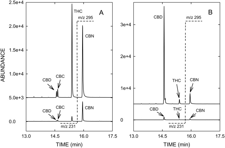 GC/MS-SIM profiles of the vapor (top graphs) and residue (bottom graphs) after vaporization of THC-type cannabis (A) and CBD-type cannabis (B) using the DaVinci Vaporizer®.The target ion m/z 231 of CBD and THC is plotted on the left side of the dotted line at 15.6 min, whereas m/z 295 as the target ion of CBN is depicted on the right side of the dotted line. Abbreviations as in Fig 1.