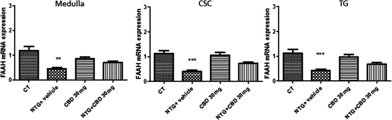 FAAH mRNA levels expressed as relative quantification (RQ) in medulla, cervical spinal cord (CSC) and trigeminal ganglion (TG) in chronic conditions. Data were normally distributed and were analyzed using one-way ANOVA followed by Tukey’s multiple comparisons test: ***p < 0.001 and **p < 0.01 vs. CT. Data are expressed as mean ± SEM, N = 7 per group