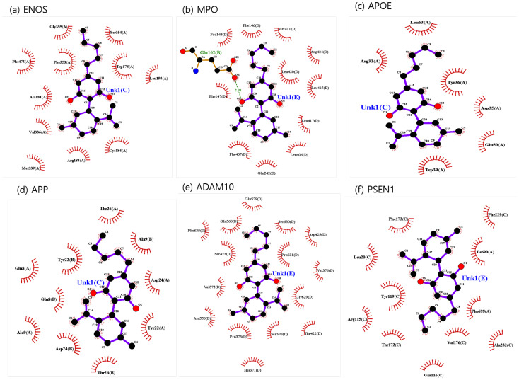 CBD-identified potential targets’ interaction plots: (a) ENOS, (b) MPO, (c) APOE, (d) APP, (e) ADAM10, and (f) PSEN1.