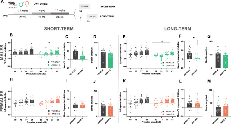JWH-018 exposure during adolescence impairs sensorimotor gating in male, but not female, mice at short- and long-term.A Schematic representation of the experimental design. B–M Effects of adolescent exposure to JWH-018 (PND 35–39: 0.5 mg/kg, PND 40–44: 1 mg/kg, and PND 45–49: 1.5 mg/kg) or vehicle in sensorimotor gating in male mice at short- B–D and long-term E–G, and female mice at short- H–J and long-term K–M (n = 10–18 mice per group). Percentage of prepulse inhibition, mean of the percentage of prepulse inhibition, and startle response amplitude are shown. Data are expressed as mean ± SEM. *p < 0.05 (comparison between JWH-018 and vehicle group; two-way ANOVA with repeated measures, treatment B, E; Student’s t-test C, F). PND postnatal day, dB decibels.