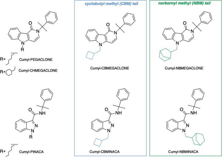 Chemical structures and semisystematic names of Cumyl‐CBMEGACLONE, Cumyl‐NBMEGACLONE, and Cumyl‐NBMINACA and some of the structurally related mentioned synthetic cannabinoid receptor agonists.