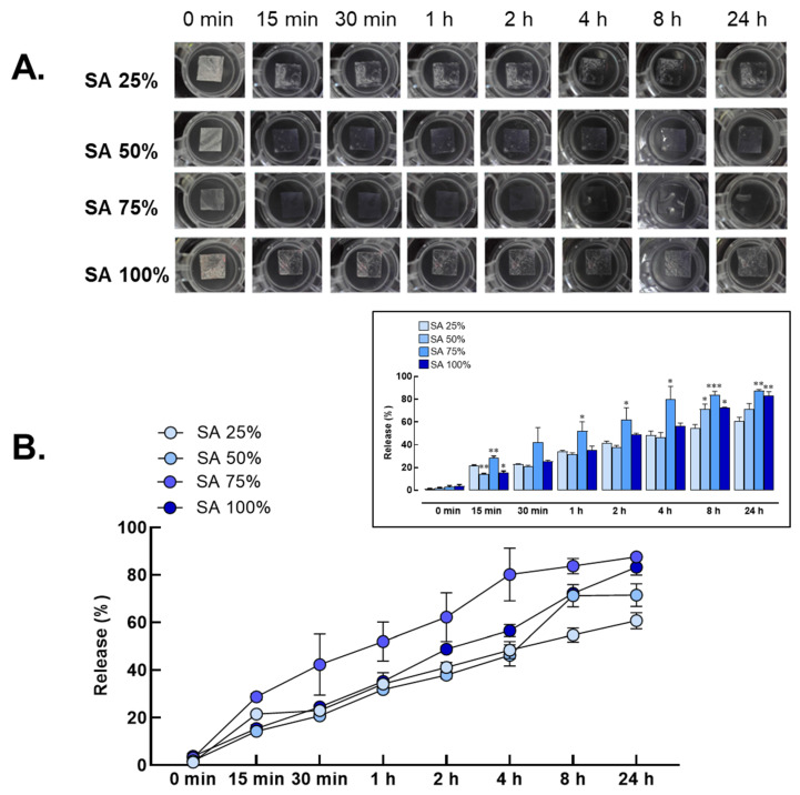 Release behavior of polyvinyl alcohol and sodium alginate (PVA/SA) hydrogel scaffold. (A) The degree of release was evaluated in hydrogel compositions containing varying percentages of sodium alginate (SA) incorporated with CBD/LNPs, including formulations with 25%, 50%, 75%, and 100% SA. (B) Release percentages measured at different time points (0 min, 15 min, 30 min, 1 h, 2 h, 4 h, 8 h, and 24 h). Significant differences were observed, with * p < 0.05, ** p < 0.01, and *** p < 0.001 compared to SA 25%, as presented in the graph.