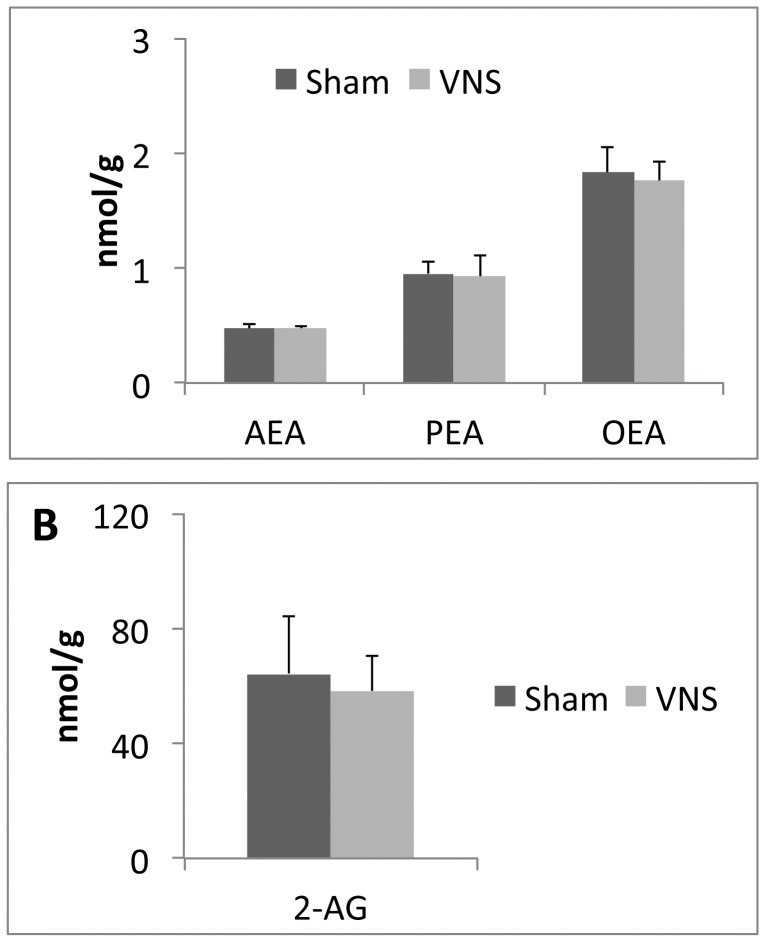 Effects of chronic VNS on the levels of endocannabinoids and the PPARα ligands PEA and OEA in the hypothalamus.The amounts of AEA, PEA, and OEA (A) and of 2-AG (B) in the hypothalamus were determined for rats subjected to VNS for 4 weeks and for sham-operated animals. Data are means ± SEM for four animals per group. No significant differences were detected between VNS-treated and control animals (Scheffe’s test).
