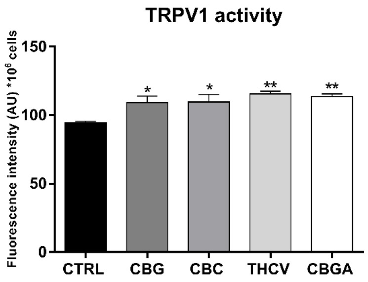 Effects of 24 h of treatment of HaCaT cells with half-IC50 amounts of CBG, CBC, THCV and CBGA on intracellular Ca2+ release that was triggered by the selective TRPV1 agonist capsaicin. Data are the means ± SEM of three independent experiments (n = 3). Statistical analysis was performed using a one-way ANOVA test, followed by the Bonferroni post hoc test (* p < 0.05 and ** p < 0.01 vs. control).