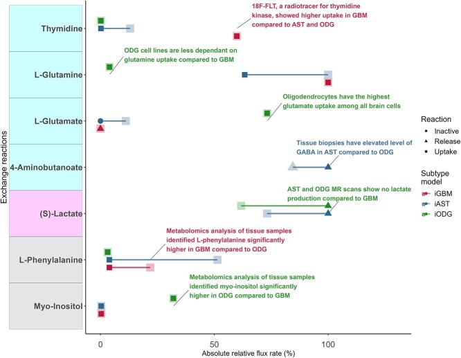 The predicted input and release rates of metabolites match the literature and experimental observations. Flux Variability Analysis allowed calculating flux ranges that guarantee an optimal growth and hence allowed finding critical metabolite exchanges (narrow-bounded fluxes). Forty out of 101 predicted exchanges were narrow-bounded, and four of the five exchange reactions matched literature and data from radiotracers for three subtypes (see Figure S7 for all reactions). Two exchange reactions matching metabolomics data were considered minor validation due to the unclear metabolic flux. Metabolite names on the y-axis with cyan, magenta and gray correspond to literature matching, contrary to literature and minor validation (Table S2), respectively.