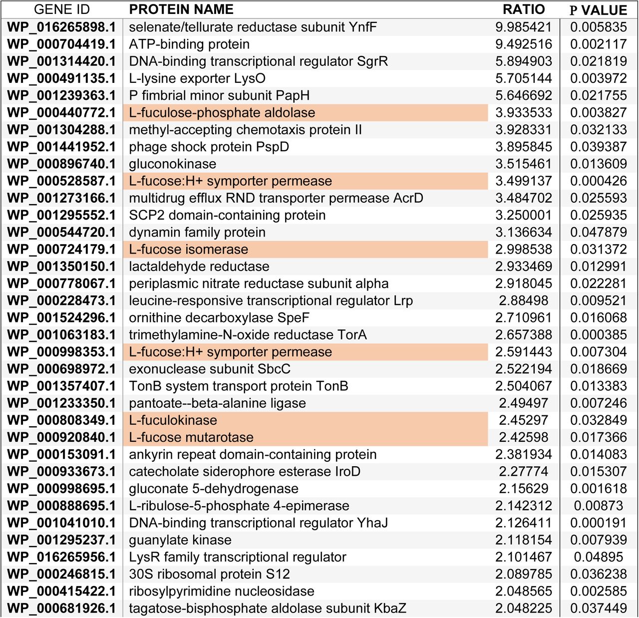 E. coli proteins enriched in triple species biofilms.Summary of proteins that specifically mapped to the E. coli CFT073 genome and were significantly enriched in triple species biofilms and not in dual-species biofilms.
