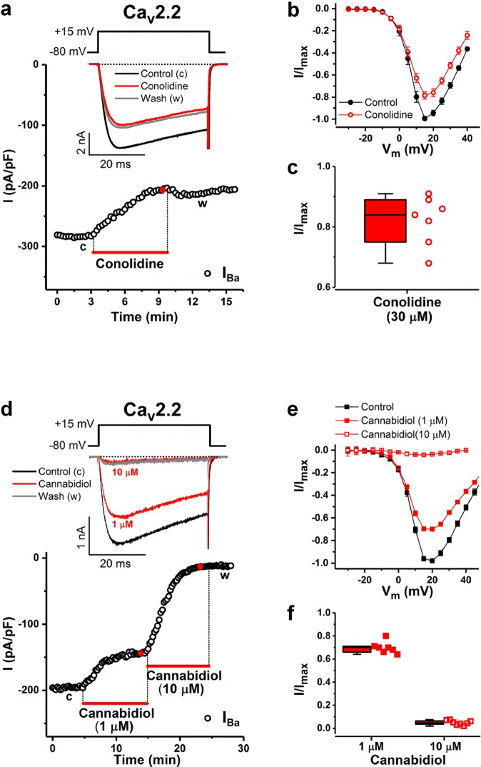Conolidine and cannabidiol inhibition of currents through transiently expressed human Cav2.2 channels. (a) Time course of IBa in the absence (control) and presence of 30 μM conolidine. Bar indicates conolidine application. IBa was evoked by 40-ms depolarizations to +15 mV, applied every 15 s from a holding potential of −80 mV (voltage inset). Representative inset IBa traces in the absence and presence of conolidine are shown at the times indicated by lowercase letters and the red filled circle, respectively. Horizontal dotted line represents zero-current level. (b) Mean current-voltage (I-V) relationships in the absence (control) and presence of conolidine (30 μM). (c) Summary of IBa inhibition by conolidine. The whisker box plot displays the median and the lower and upper quartiles; whiskers represent the minimum and maximum of the data (n = 7). (d) Time course of peak IBa in the absence and presence of 1 μM and 10 μM cannabidiol (lowercase letters and red filled circles, respectively). Data presentation and voltage protocol similar to that shown in a. (e) Mean I-V relationships in the absence (control) and presence of cannabidiol. (f) Summary of IBa inhibition by 1 μM and 10 μM cannabidiol (n = 7 and 8, respectively).