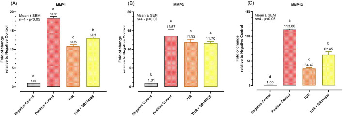 Gene expression of metalloproteases. (A) MMP1 mRNA expression; (B) MMP3 mRNA expression; (C) MMP3 mRNA expression. The group designated to receive the antagonist was pre-treated with 1 μM of SR144528 for 10 min. Then TUR (Turmeric oleoresin) at 15 ppm was added, and SW-1353 cells were incubated for 2 h before the challenge. Subsequently, IL-1β and TNF-α both at 10 ng/mL (positive control) were introduced as an inflammatory stimulus for 24 h. Data are presented as mean ± SEM (n = 4) and represent the fold change relative to the negative control. Statistical analysis was performed using one-way ANOVA followed by Tukey’s multiple comparisons test (p < 0.05). Different letters indicate significant differences. MMP = Matrix metalloprotease.