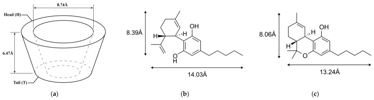 Schematic representation of the chemical structures and the dimensions of the energy minimized molecular conformation: (a) β-CD (C42H70O35) and its position of the wider rim (Head, H) and the narrow rim (Tail, T); (b) CBD (C21H30O2); (c) THC (C21H30O2).