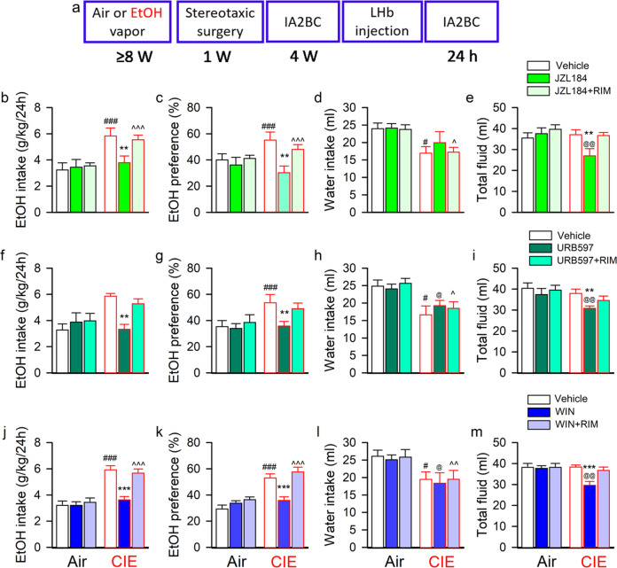 LHb eCB-degrading enzyme inhibition or CB1 receptor activation decreases voluntary alcohol consumption in rats with a chronic intermittent ethanol vapor exposure history.Panel (a) is the schematic diagram showing the experimental timeline. Adult male Long-Evans rats were intermittently exposed to either ethanol vapor (CIE) or air for 8 weeks, followed by voluntary drinking in the intermittent access to 20% ethanol 2-bottle free-choice (IA2BC) paradigm for 4 weeks. At 24-h abstinence from the last drinking session, JZL184 (5 μg/200 nl/side; b–e), URB597 (4 μg/200 nl/side; f–i) or WIN 55,212-2 (WIN, 4 μg/200 nl/side; i–k and m) alone or with rimonabant (RIM, 2 μg/200 nl/side), was bilaterally injected into the LHb 30 min before the beginning of a drinking session. The effect of LHb administration of these compounds on ethanol consumption was summarized in panels b-m. All data are expressed as mean ± SEM, n = 11–12/group for each compound. **p < 0.01, ***p < 0.001 vs Vehicle or JZL184/URB597/WIN + RIM within group; #p < 0.05, ##p < 0.01, ###p < 0.001 vs same treatment among distinct groups, revealed by two-way RM ANOVA followed by Bonferroni post-hoc test.