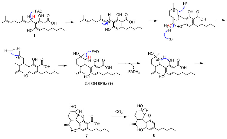Proposed oxidative cyclization mechanism of CBE (8) formation from CBGA (1).