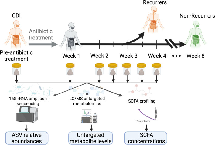 Prospective Clostridioides difficile infection (CDI) study measuring gut microbes and metabolites to develop recurrence predictors. Fifty-three participants with first-time CDI were followed for up to 8 weeks after initial CDI antibiotic treatment. Fecal samples were collected prior to CDI antibiotic treatment, 1 week post-treatment, and then weekly or bi-weekly until recurrence or end of the study period. Microbial composition within fecal samples was analyzed with 16s rRNA gene amplicon sequencing. Metabolites in fecal samples were measured with liquid chromatography/mass spectrometry (LC/MS) broad metabolomics and targeted short chain fatty acid profiling