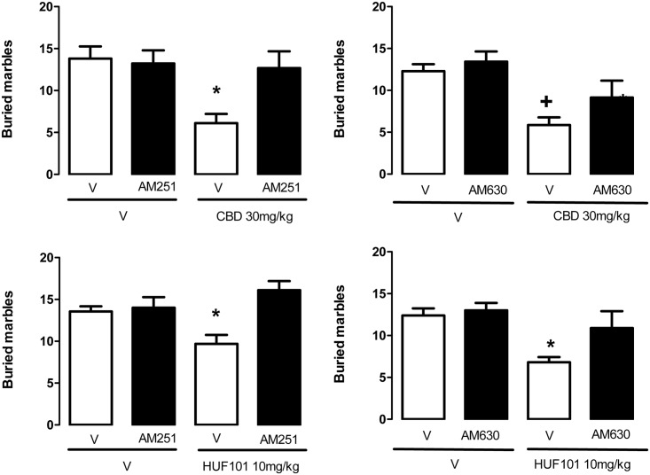 CBD (30 mg/kg, n = 7–9 animals/group) and HU-101 (10 mg/kg, n = 9–10 animals/group) decreased the number of buried marbles in the MBT.This effect was prevented by pre-treatment with the CB1 (AM251 1 mg/kg, n = 9 animals/group) or CB2 (AM630, 1 mg/kg, n = 7 animals/group) receptor antagonist. *indicates difference from all other groups. +indicates difference from V+V group (ANOVA followed by the Duncan test, p<0.05).