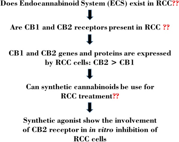 Workflow of ECS study in RCC cells