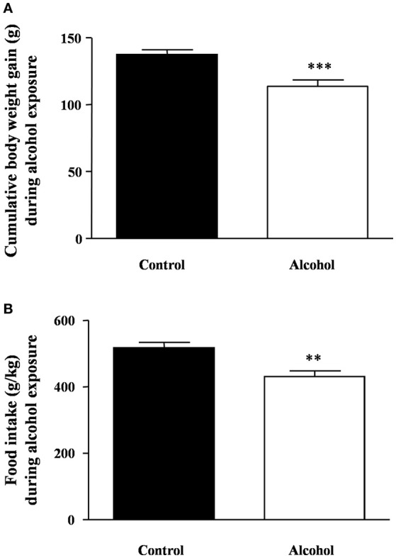 Body weight gain and food intake during intermittent alcohol exposure in adolescent rats. Cumulative body weight gain (A) and food intake (B) after 4 weeks of alcohol exposure. Bars represent the mean ± SEM (8–12 animals per group). Data were analyzed by Student's t-test (Welch's correction). **p < 0.01 and ***p < 0.001 denote significant differences compared with the control group.