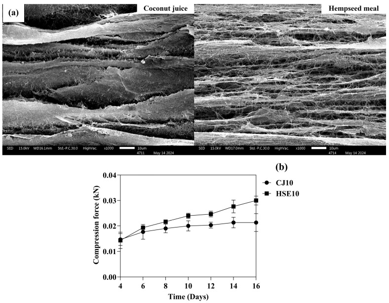 Morphology and physical analysis of BC synthesis: (a) SEM analysis and (b) compression force analysis of CJ10 and HSE10.