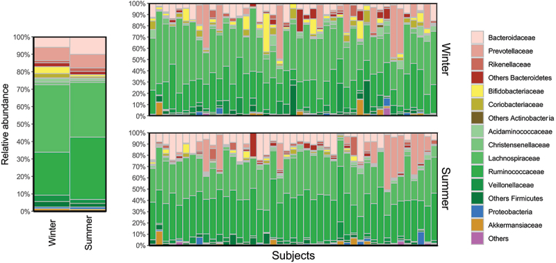 Visualization of gut microbiota family composition according to visits. Relative abundances (%) of families gut microbiota composition by season are represented as the average of the study sample (Left) and by subjects (Right).