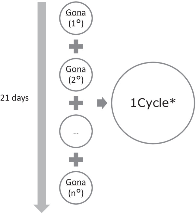 1 Definition of the treatment cycle from drug dispensing data *For each assisted woman in the Lazio region, therapeutic cycles are identified based on the dates of drug delivery in a 21-day mobile window. The drugs assigned to each window allow to associate one of the following formulations to each cycle: recombinant, extractive, combined (recombinant + extractive)