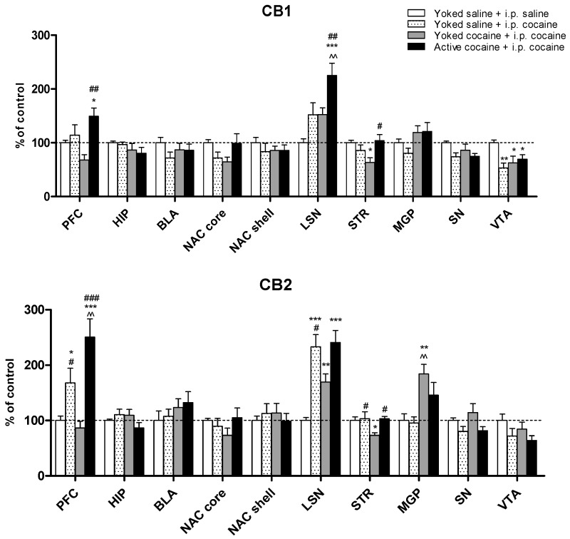 Results of immunohistochemistry analysis of membrane’s cannabinoid receptor 1 and 2 in the reinstatement cocaine phase. All data are expressed as the means ± SEM. N = 7 rats/group. * p < 0.05, ** p < 0.01, *** p < 0.001 vs. Yoked saline + saline i.p.; ^^ p < 0.01 vs. Yoked saline + cocaine i.p.; # p < 0.05, ## p < 0.01 ### p < 0.001 vs. Yoked cocaine + cocaine i.p. PFC—prefrontal cortex; HIP – hippocampus, BLA—basolateral and basomedial amygdala, NAC core or shell—nucleus accumbens core or shell, LSN—lateral septal nuclei, STR—dorsal striatum, MGP—medial globus pallidus SN—substantia nigra, VTA—ventral tegmental area.