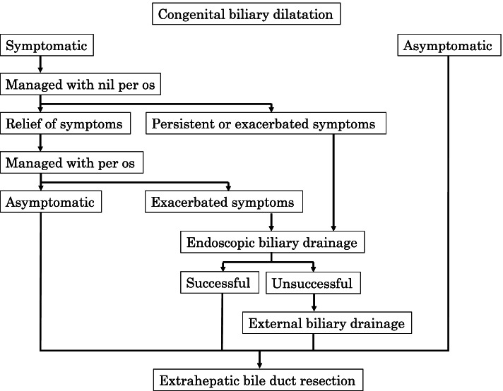 Treatment strategy for preoperative management of congenital biliary dilatation in children