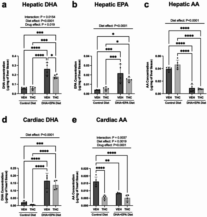 Maternal DHA + EPA diet alters key hepatic and left ventricular omega-6 and omega-3 fatty acids in PND21 vehicle and THC-exposed offspring. Upon MS/MS, EPA could not be accurately detected in the hearts. Concentration of hepatic (a) DHA, (b) EPA and (c) AA. Concentration of cardiac (d) DHA and (e) AA. Data are represented as means ± SD, n = 4–5 males/treatment. Each data point represents a male offspring heart/liver from a single and different dam. Significance was determined by two-way ANOVA followed by Tukey’s post-hoc. *P < 0.05, **P < 0.01, ***P < 0.001, ****P < 0.0001. Significant diet effect (control diet vs. DHA + EPA diet), drug effect (VEH vs. THC) and interaction are labelled at the top of respective graphs, where applicable.