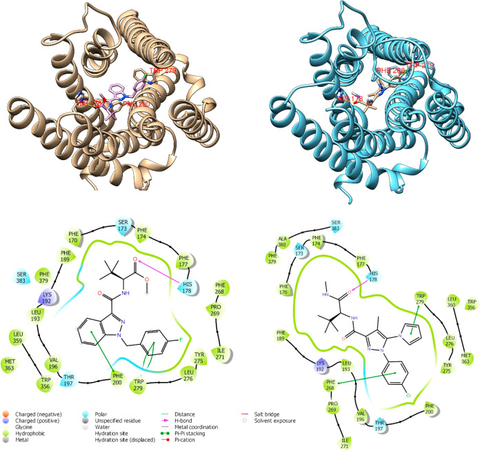 Best docking poses of crystallographic ligand MDMB-fubinaca (PDB 6N4B, left side) and 34 (right side) and their key interactions in the binding site.