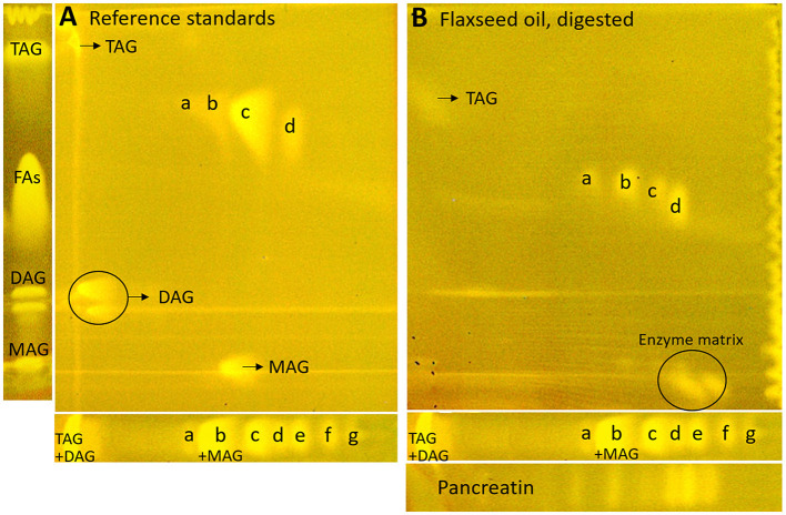 nanoGIT–HPTLC×HPTLC–FLD chromatograms of (A) the reference sample mixture (undigested) and (B) flaxseed oil (all 10 μg/band each) after lipolysis via overspraying of pancreatin (1 TAME U/band) on HPTLC RP-18 W plate, focused twice with acetone and, after a plate cut off at 15 mm, developed (from the cut edge) first with n-hexane/diethyl ether/formic acid 90:25:2 (V/V/V) up to 60 mm and, after 90°-plate turn, then with acetonitrile/water 4:1 (V/V, with a molecular sieve) up to 50 mm, derivatized with rhodamine 6G reagent, and detected at FLD 366 nm; for comparison respective one-dimensionally separated references, i.e., acylglycerols (MAG, TAG, and DAG) and fatty acids (FAs) such as stearic acid (C18:0, a), palmitic acid (C16:0, b), oleic acid (C18:1, b), linoleic acid (C18:2, c), myristic acid (C14:0, c), linolenic acid (C18:3, d), lauric acid (C12:0, e), capric acid (C10:0, f), and caprylic acid (C8:0, g), all 10 μg/band each.