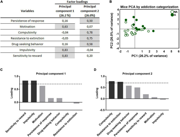 Principal component analysis of the effect of adolescent THC exposure in WIN 55,212-2 operant self-administration in adulthood. (A) Factor loadings of principal component 1 (PC1) and principal component 2 (PC2) for all variables studied. (B) Individual mice clustered according to addiction or non-addiction in the space yielded by the 2 PCA components, which accounted for the maximum data variance, with factor loadings of 26.2% for PC1 and 26.0% for PC2. (C,D) Order of factor loading of the different variables in PC1 and PC2. The dashed horizontal line marks loading greater than 0.7, mainly contributing to the component. In regards to the addiction-like criteria, a dissociation between motivation, mainly contributing to PC1, and compulsivity, mainly contributing to PC2, can be observed. Moreover, impulsivity and reward sensitivity weighted more in the PC1, while resistance to extinction and drug-seeking weighted more in the PC2.