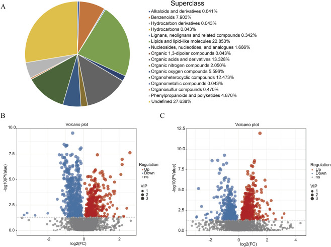 Panel A displays a pie chart representing metabolite superclass distribution, with the largest segments for undefined, lipids, organic acids, and organoheterocyclic compounds, and smaller segments for other classes as listed in the accompanying legend. Panel B and Panel C each show a volcano plot with x-axis labeled log2 fold change and y-axis labeled negative log10 p-value, highlighting upregulated (red), downregulated (blue), and non-significant (gray) features, with dot sizes indicating variable importance.